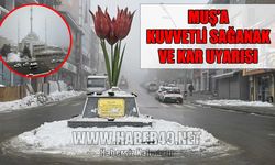 Meteoroloji'den Muş için kuvvetli sağanak ve kar uyarısı!