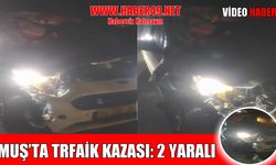 Muş'ta hafif ticari aracın çarptığı at telef oldu, 2 kişi yaralandı