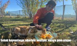 Soğuk Kış Günlerinde Sıcak Bir Kapı