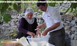 Erzurum’un Göğermiş Peyniri Yaylalardan Sofralara Ulaşıyor: Doğal Şifa Kaynağı Yoğun İlgi Görüyor