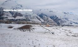 Başkale Beyaza Büründü: Kar Yağışı İlçede Hayatı Etkiledi