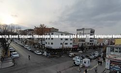 Kars’ta Konut Satışları Yükselişte: Ekim Ayında 596 Konut Yeni Sahiplerini Buldu