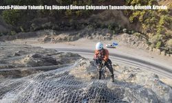 Tunceli-Pülümür Yolunda Taş Düşmesi Önleme Çalışmaları Tamamlandı: Güvenlik Artırıldı