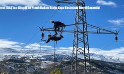 Fırat EDAŞ’tan Bingöl’de Planlı Bakım Atağı: Kışa Kesintisiz Enerji Garantisi