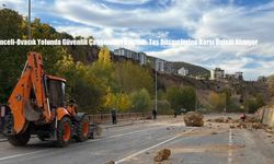 Tunceli-Ovacık Yolunda Güvenlik Çalışmaları Başladı: Taş Düşmelerine Karşı Önlem Alınıyor