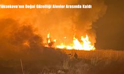 Hakkari’de Kuş Cennetinde Yangın Alarmı: Nehil Sazlığı Alevlere Teslim Oldu