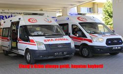 Elazığ’da üzüm almaya gelen nakliyeci kalp krizi geçirerek hayatını kaybetti