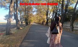 Van’da Sonbahar Renk Cümbüşü: Doğa Tutkunlarını Büyüleyen Görsel Şölen