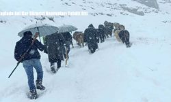 Hakkari’de Dağda Mahsur Kalan Sürü Kurtarıldı