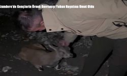 Uzundere’de Gençlerin Örnek Davranışı Yaban Hayatına Umut Oldu