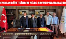 Diyarbakır'da hayvan pazarları yeniden açıldı