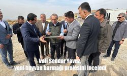 Vali Yavuz, Yeniköy’deki Yeni Hayvan Barınağında İncelemelerde Bulundu