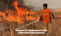 Yüzlerce Kuş Türü Tehlikede: Yüksekova’daki Yangın Havadan Müdahale ile Sürdürülüyor