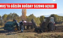 Muş’ta çiftçiler güzlük buğday ekimine başladı