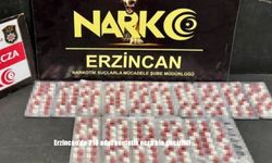 Erzincan’da 216 adet sentetik ecza ele geçirildi