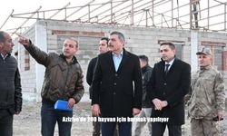 Aziziye'de 200 hayvan için barınak yapılıyor