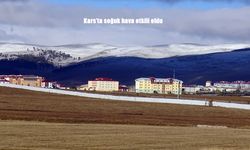 Kars'ta soğuk hava etkili oldu