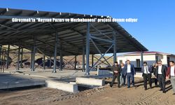 Güroymak'ta "Hayvan Pazarı ve Mezbahanesi" projesi devam ediyor