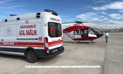 Trafik kazasında yaralanan şahıs ambulans helikopter ile Van'a getirildi
