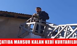 Muş’ta çatıda mahsur kalan kedi kurtarıldı
