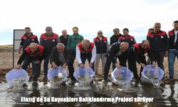 Elazığ’ın Suları Sazanlarla Canlanıyor: 11 Bin 800 Yavru Balık Doğaya Bırakıldı