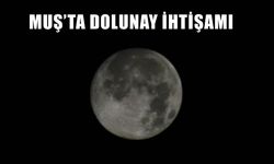 Muş’ta dolunay gökyüzünü aydınlattı