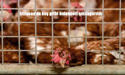 Erzincan’da Kuş Gribi Alarmı: Kanatlı Hayvanlara Kapalı Alan Uyarısı!