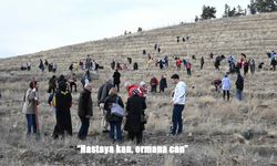 “Hastaya Kan, Ormana Can” Projesiyle 32 Bin 500 Fidan Toprakla Buluştu