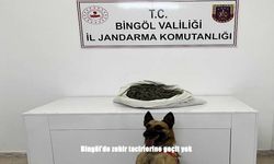 Bingöl’de Jandarmadan Uyuşturucu Operasyonu
