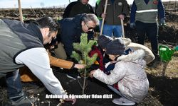 Ardahan’da Geleceğe Nefes: Öğrenciler Hatıra Ormanında Fidan Dikti