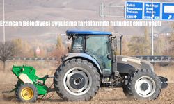 Erzincan Belediyesi uygulama tarlalarında hububat ekimi yaptı