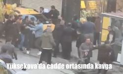Yüksekova'da cadde ortasında kavga