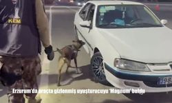 Erzurum'da araçta gizlenmiş uyuşturucuyu 'Magnum' buldu