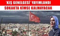 Bakanlık alarmda: Muş dahil 81 ilde kimse soğukta kalmayacak!