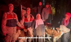 Jandarma çalınan hayvanları sahibine teslim etti