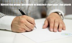 Küresel risk ortamı "parametrik ve blokzincir sigortaları" öne çıkardı