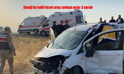 Elazığ'da hafif ticari araç tarlaya uçtu: 3 yaralı