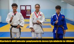 Ücretsiz Spor Okulları Diyarbakırlı Judocuları Dünya Sahnesine Taşıdı