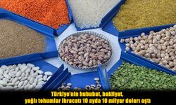 Türkiye’nin Hububat ve Bakliyat İhracatı 10 Milyar Doları Aştı