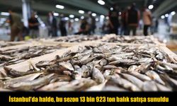 Denizden Gelen Rekor: 2 Ayda Halede 13 Bin Ton Balık Satıldı