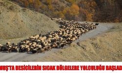 Muş'tan Sıcaklara: Besicilerin Zorlu Kış Göçü Başladı!