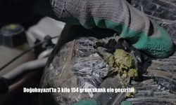 Doğubayazıt’ta 3 kilo 154 gram skunk ele geçirildi