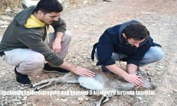 Köpeklerin saldırdığı yavru dağ keçisini 3 kilometre sırtında taşıdılar