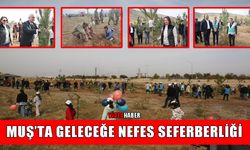 Muş’ta Milli Ağaçlandırma Günü’nde 20 bin fidan toprakla buluştu