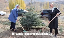 Tercan’da fidanlar toprakla buluştu
