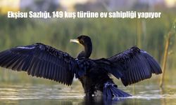 Ekşisu Sazlığı, 149 kuş türüne ev sahipliği yapıyor
