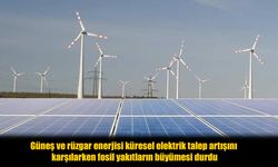 Küresel Elektrik Sektöründe Tarihi Değişim: Fosil Yakıtların Büyümesi Durdu