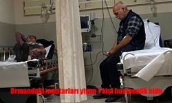 Ormandaki mantarları yiyen 7 kişi hastanelik oldu