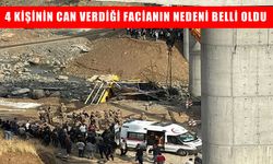 4 işçinin hayatını kaybettiği Muş-Kulp viyadük faciasının nedeni açıklandı