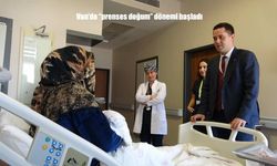 Van’da “Prenses Doğum” Dönemi Başladı: Anne Adayları Ağrısız ve Konforlu Doğum Yapıyor